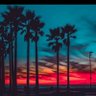 يوسف سكري's profile picture