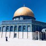 Palestinian فلسطيني's profile picture