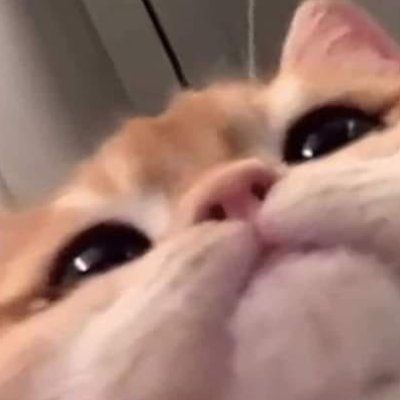 jefe poblano's profile picture