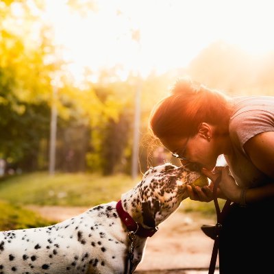 Marija Majkić's profile picture