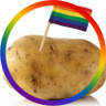 TheGayPotatoe's profile picture