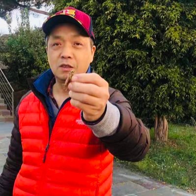 北京侃爷's profile picture