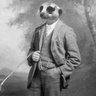 Profilbild von Nick Bianco