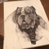 marioncountydawg profil fotoğrafı