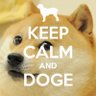 Ɖoge Ɖad's profile picture