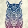 Blueshadow 🌃's profile picture