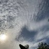 Vithee profil fotoğrafı