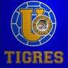 Dt 🇲🇽🐯's profile picture
