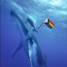 Фото профиля whalefact