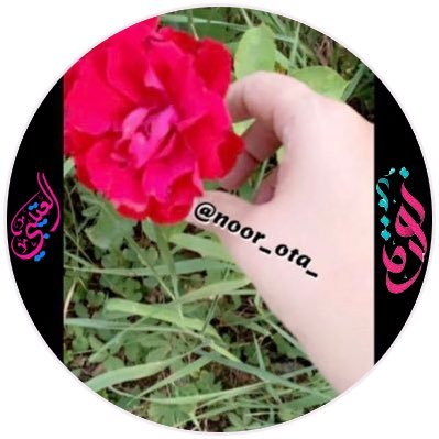 noor_ota_'s profile picture