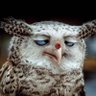 dila 🌼🐞🐼🦤 profil fotoğrafı