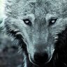 Aspeck profil fotoğrafı