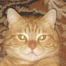 Cyprian's profile picture
