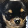 ta's profile picture