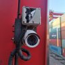 одинокорастущее дерево profil fotoğrafı