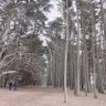 Фото профиля Tina