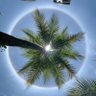 Hold's profile picture