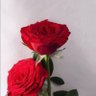 Фото профиля بدون اسم