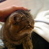 Profilbild von naoさん