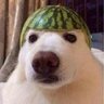 lukas's profile picture