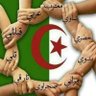 sahar Al khettabi's profile picture