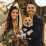 Steven Vance's profile picture