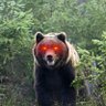 Melvin Dewey profil fotoğrafı