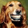 R2S's profile picture
