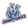 Profilbild von Jawa_grizz