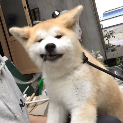3CTk19hL1JV8l0X's profile picture