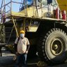 fernando ureche p's profile picture