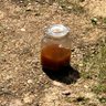 Piss Jar's profile picture