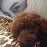 みんみん profil fotoğrafı
