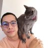Gus Rocha 的头像