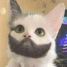 Sony-69's profile picture