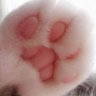 哇哦.'s profile picture