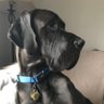 VCR profil fotoğrafı