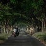 Sambat turu's profile picture