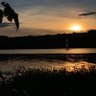 Masterducker4's profile picture