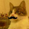 nekohige 的头像
