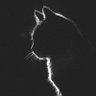 Skwash🍎's profile picture