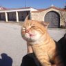 Lilkid 208 profil fotoğrafı