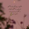Фото профиля ام ريان