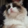 Profilbild von Richard
