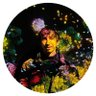 johann theo's profile picture