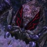 Azure The burst greedy spider profil fotoğrafı