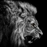C-McArthur-T's profile picture