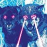 wolfman 的头像