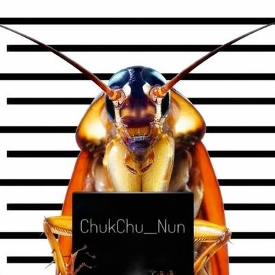 ChukChu__Nun's profile picture