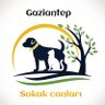 Gaziantep Sokak Canları Derneği's profile picture
